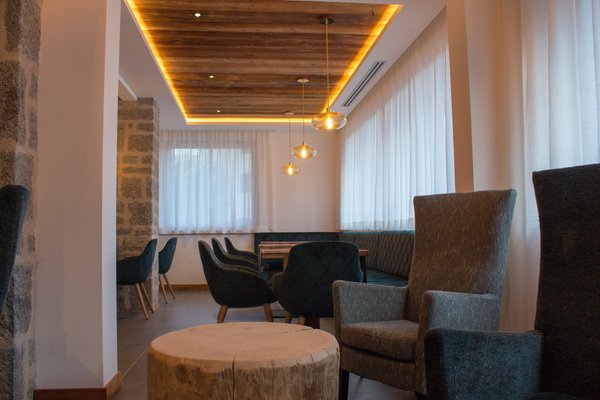 Le parti comuni Edelweiss Alpine Nature Hotel