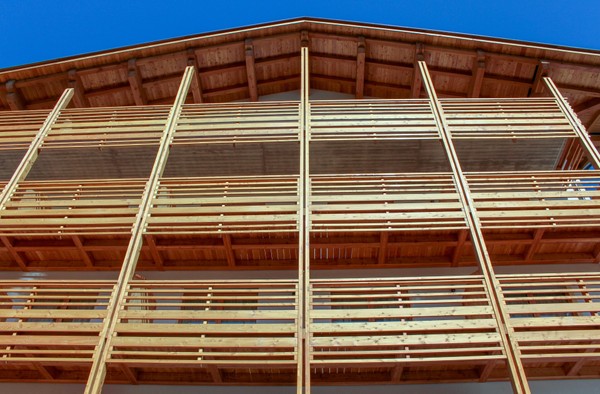 Foto esterno Edelweiss Alpine Nature Hotel