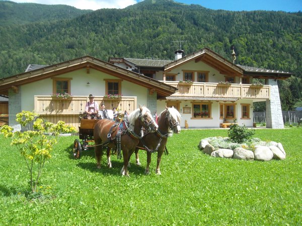 Foto estiva di presentazione Maso Grisun - Camere in agriturismo