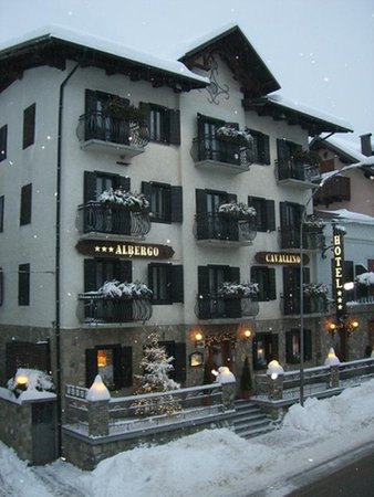 Foto invernale di presentazione Garni-Hotel + Appartamenti Cavallino