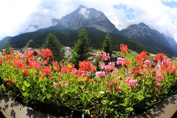 Vista dalla struttura