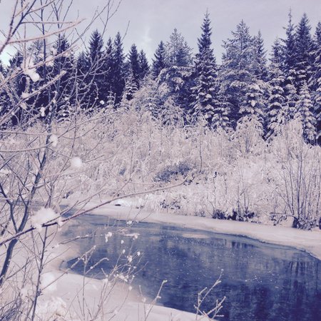 Gallery Sappada e Comelico inverno