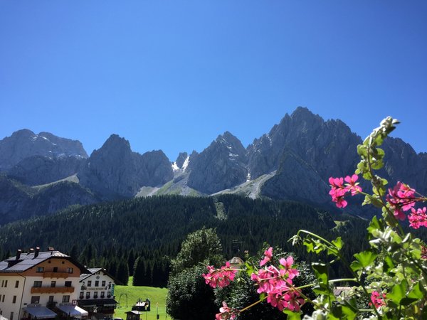 View from the business