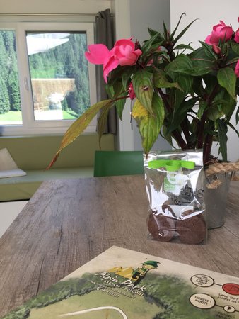 Foto di alcuni dettagli Alpin Haus