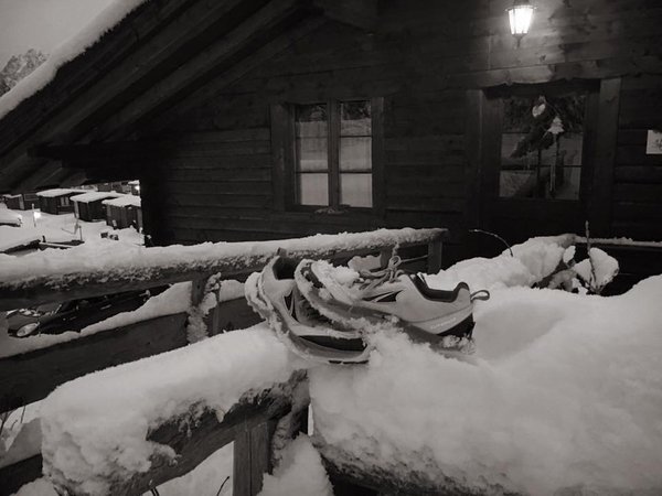 Foto esterno in inverno Alpin Haus