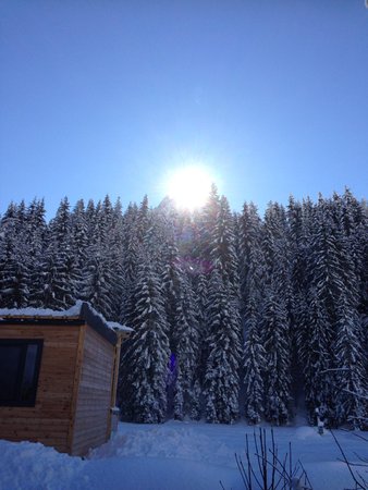 Gallery inverno