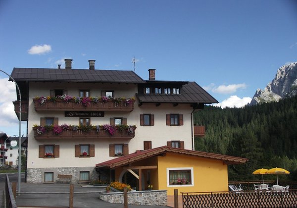 Foto esterno in estate Villa Erika