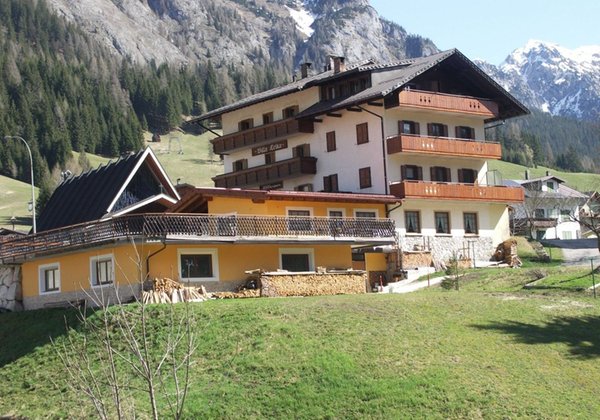 Foto esterno in estate Villa Erika
