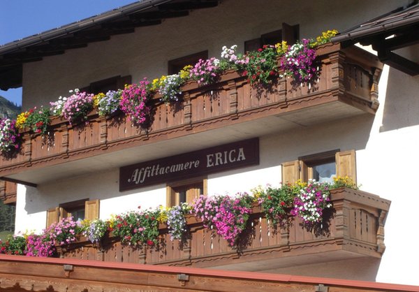 Foto esterno in estate Villa Erika
