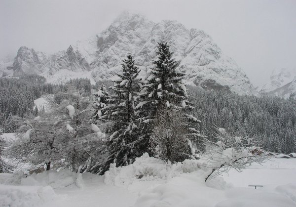 Gallery inverno
