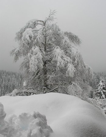 Gallery inverno