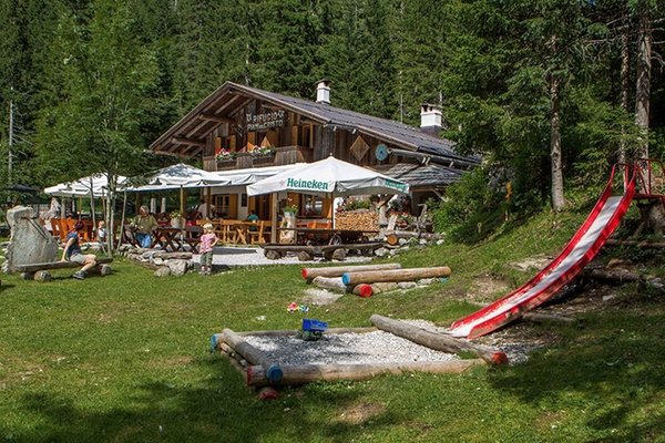 Photo of the garden Sappada