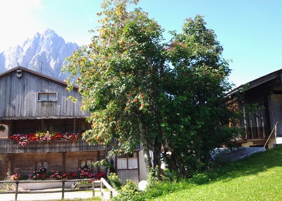 Foto esterno Appartamenti Casa Zambon