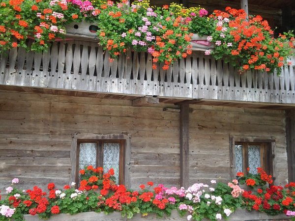 Foto Außenansicht im Sommer Casa Zambon