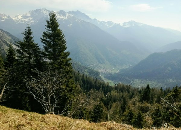 Bildergalerie Sommer