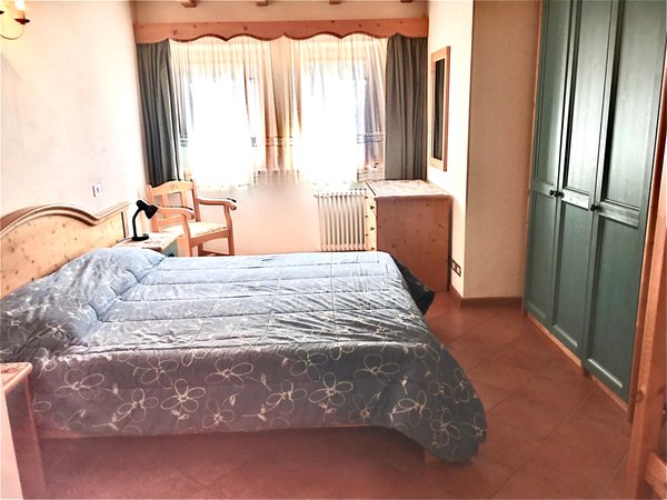 Photo of the room Apartments Fontana Marta e Serena