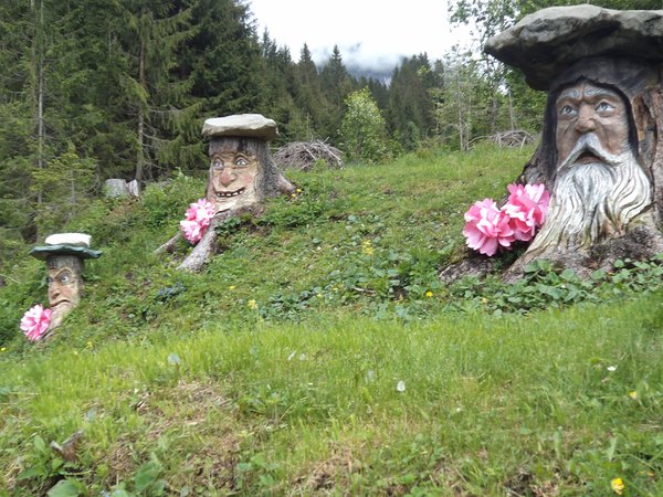Photo gallery summer