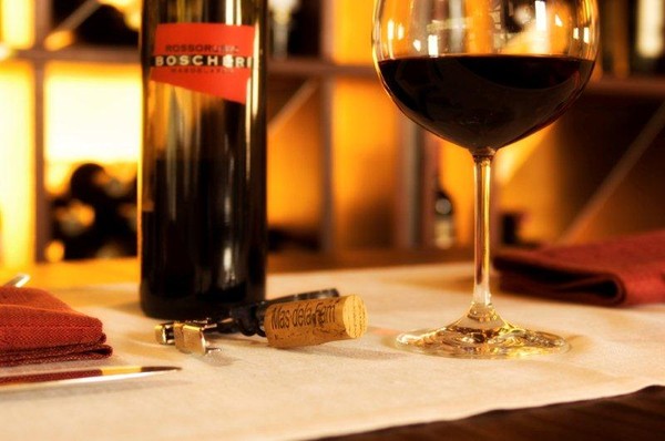 Wine cellar Trento Mas dela Fam