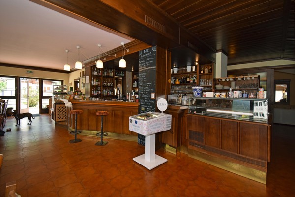 Foto del bar Hotel Comelico