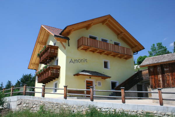 Photo exteriors in summer Amonit