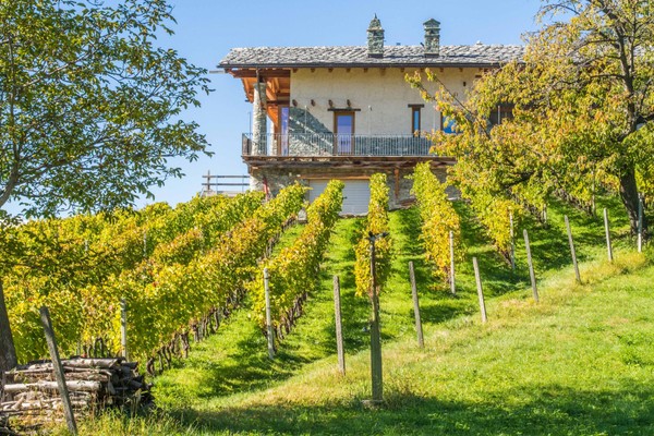 Foto esterno Pensione in agriturismo Les Granges