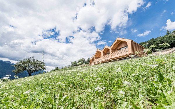 Photo exteriors Chalets Niederthalerhof