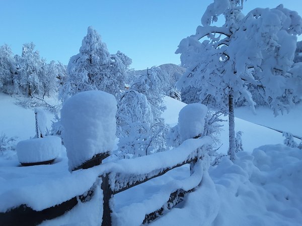 Photo gallery winter