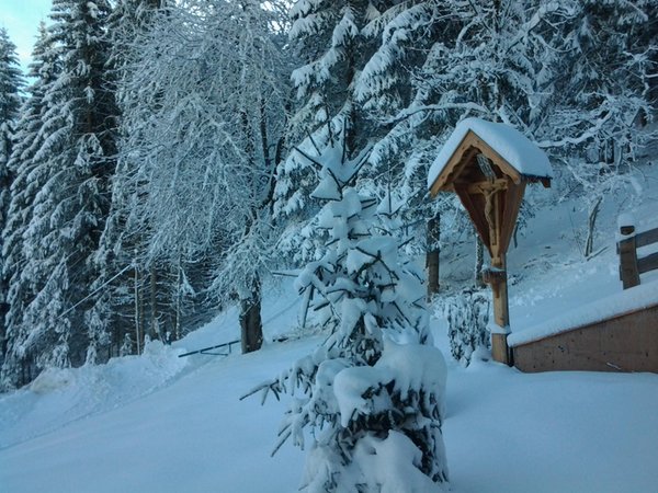 Photo gallery winter
