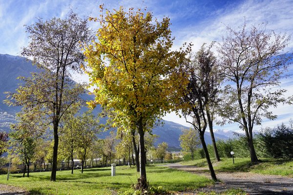 Foto del giardino Quart (Aosta)