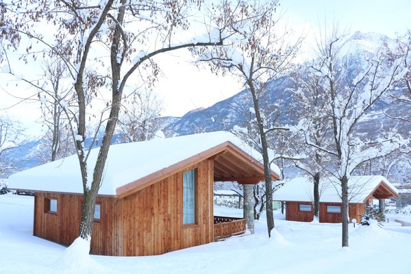 Foto esterno in inverno Lazy Bee