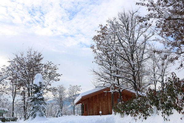 Foto esterno in inverno Lazy Bee