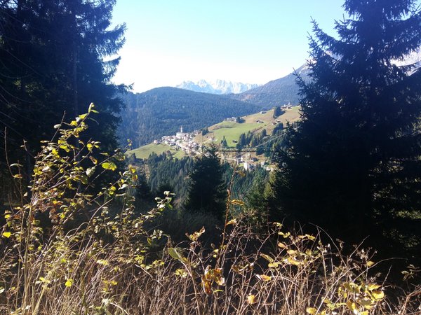 Bildergalerie Sommer