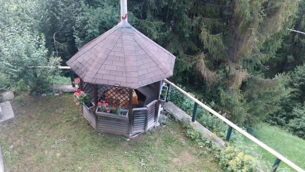 Bildergalerie Sommer