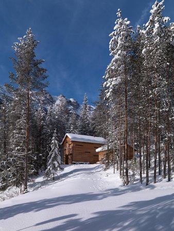 Foto Außenansicht im Winter Mountain Lodge Tamersc