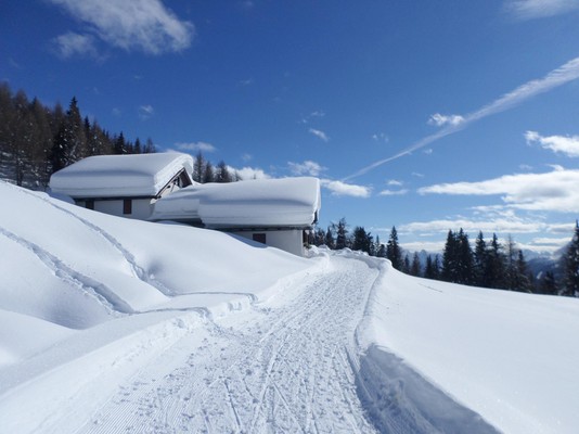 Photo exteriors Mountain hut with rooms Rinfreddo