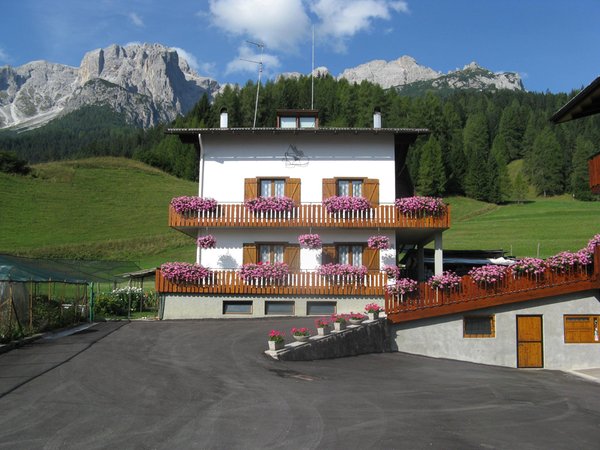 Sommer Präsentationsbild Ferienwohnungen in den Dolomiten im Val Comelico