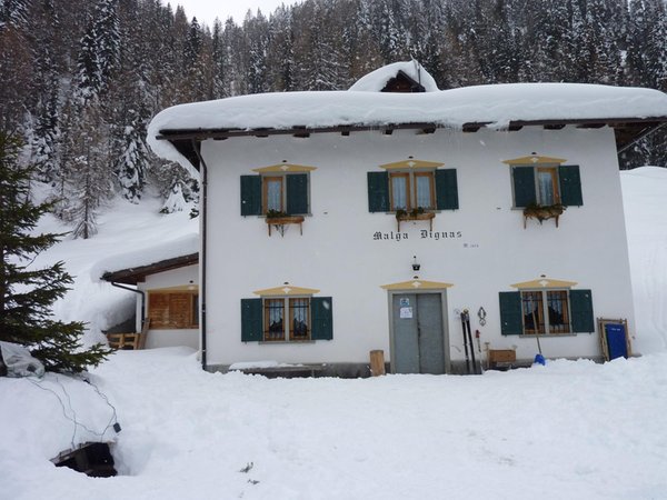 Winter presentation photo Mountain hut with rooms Malga Dignas