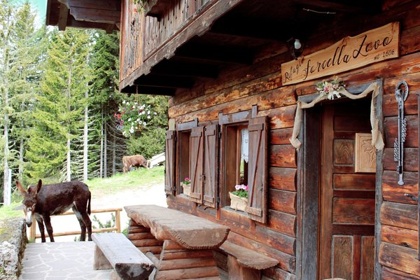 Photo exteriors in summer Forcella Zovo