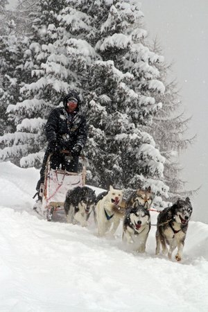 Winter Präsentationsbild Husky Village - Sleddog Ranch