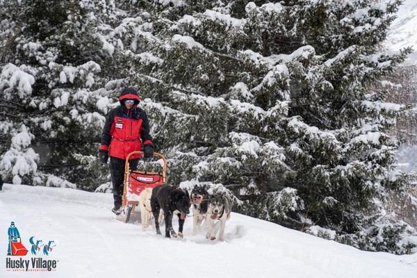 Activities Valtellina