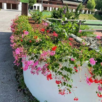 Bildergalerie Tarvisio