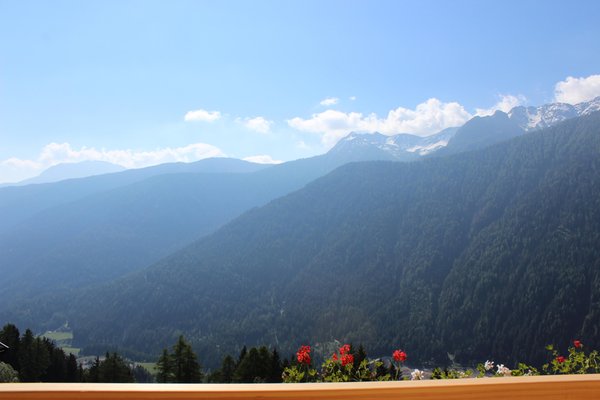 Vista dalla struttura