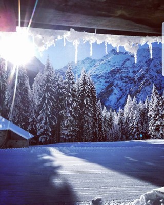 Bildergalerie Winter