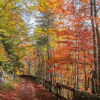 Bildergalerie Sommer
