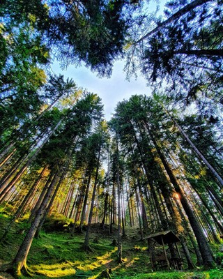 Bildergalerie Sommer