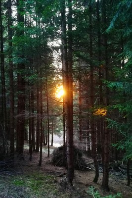 Bildergalerie Sommer