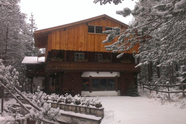 Winter presentation photo Bed & Breakfast Villa Dolomites Hut