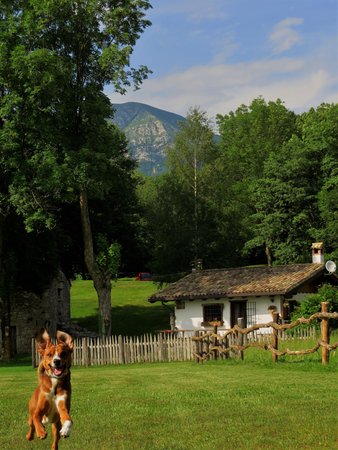 Foto del giardino Forgaria nel Friuli