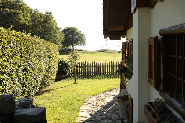 Photo exteriors in summer Tana da l'Ors