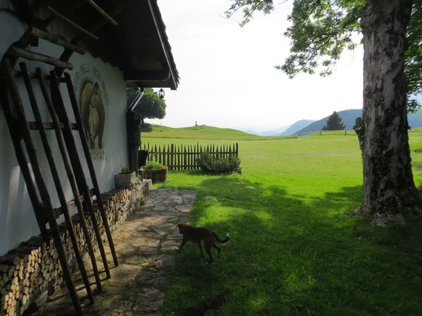 Photo exteriors in summer Tana da l'Ors